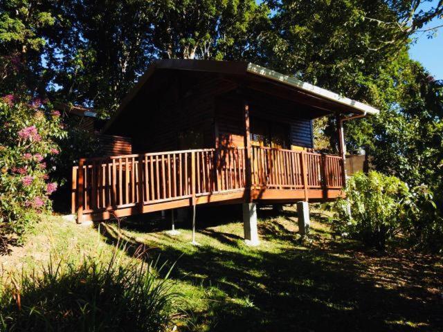 Cabanas San Gerardo 圣赫拉多德多塔 外观 照片